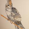 Dip pen, Indian ink and burnt sienna drawing ink