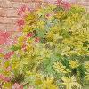 En plein air, watercolour